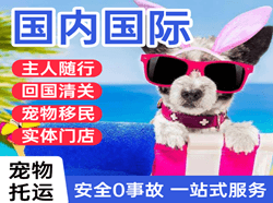 乌审旗嘎鲁图机场物流国际宠物托运 【国